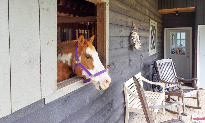 Hendersonville Cabaña | Rustic & Authentic Farm Stay by Dupont Forest!