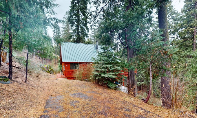 Dogwood Mountain Casa | Cabaña rústica que admite perros en el bosque, perfecta para escapadas durante todo el año