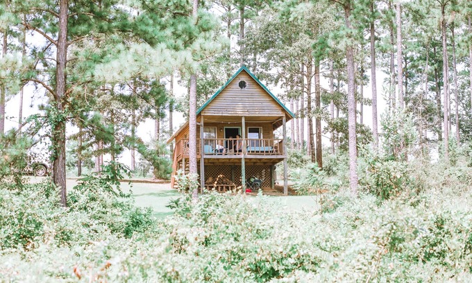 Lucedale Cabina | Rustic Cabin Overlooking Private 48 acre Bass Fishing Lake