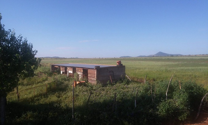 Cuauhtémoc Cabina | Cabaña Rustica rodeada de naturaleza