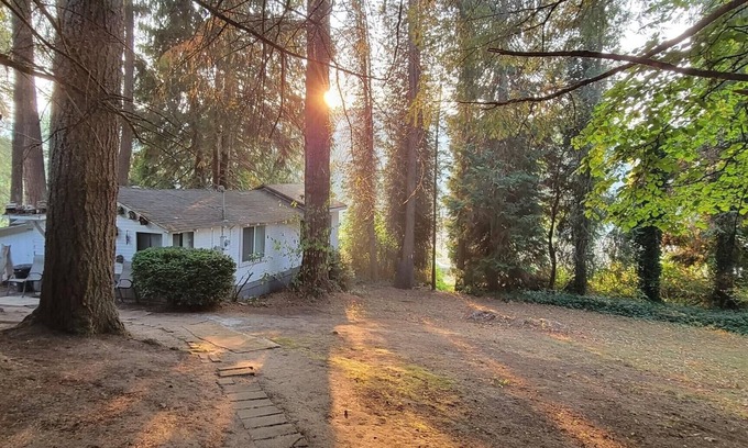 Clatskanie Cabina | Rustic forest cabin - perfect for solo travelers who cherish privacy and quiet.