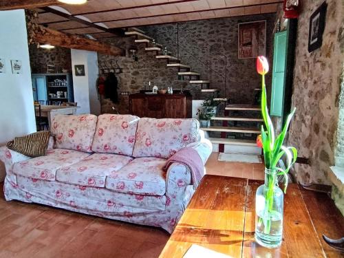 Mieras Casa | Rustic Home in Mieres near Banyoles Lake