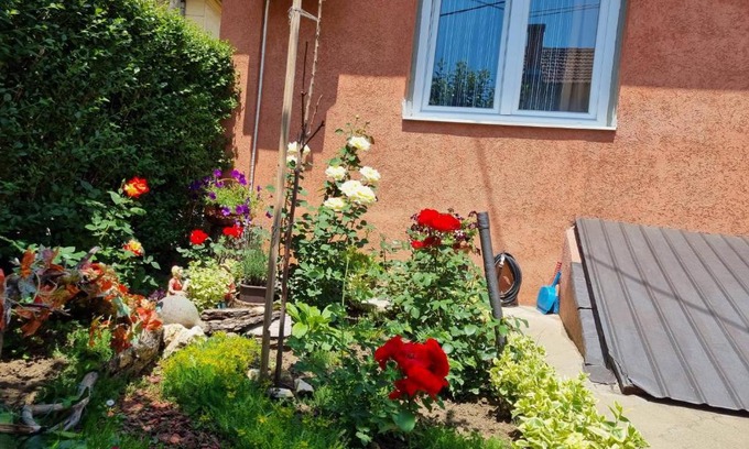 Vranje Apartamento | Rustic House