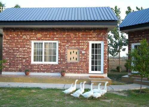 Atari Casa | Rustic Roots Farm Stay