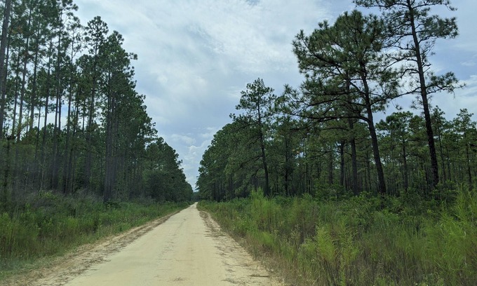 Edgar Casa | RV for the entire family or a just one person. 0ver 250 miles of riding trails