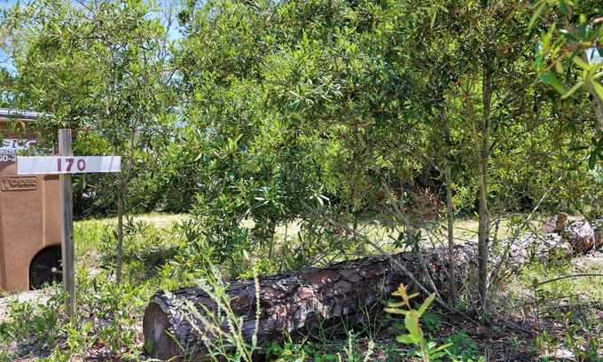 Indian Pass Alquiler De RV | RV Lot, Indian Pass, Close To The Beach ~ Maxtoria