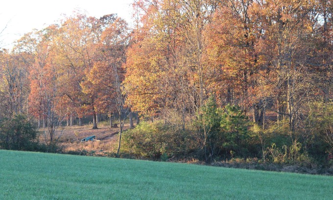 Sparta Alquiler De RV | RV Resort in between Sparta and Crossville with Full Hook Up Sites