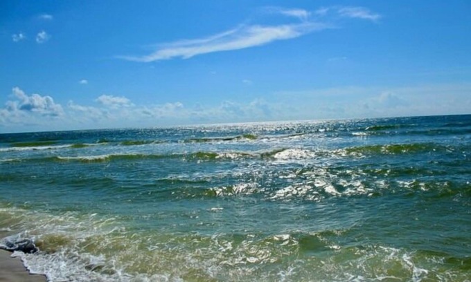 Port St. Joe Alquiler De RV | RV Site Near Indian Pass, Plenty of Parking ~ One More Day