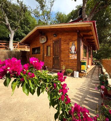 Pavliani Casa | RVilla