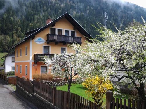 Mallnitz Apartamento | Säuleck Appartement mit Kärntencard