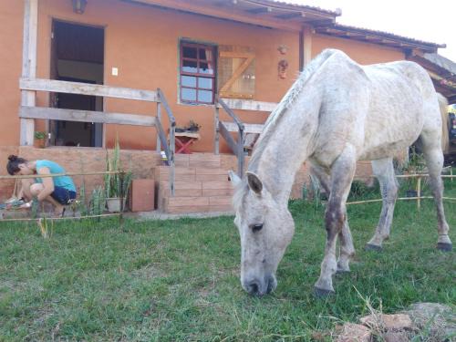 Caconde Casa | Sítiio São Miguel projeto agroecológico