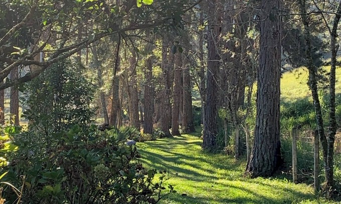 Juquitiba Cabaña | Sítio do Mingo: Country house - The best of nature close to São Paulo!