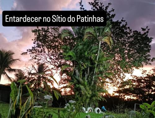 Campo Alegre Otro | Sítio do patinhas