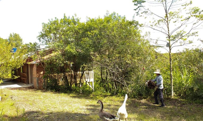 Campo Alegre Casa | Sítio e Pousada Paulo Lampert