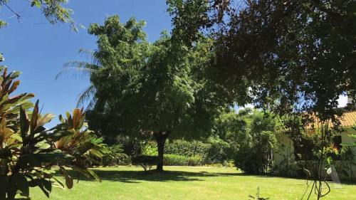 Jenipabu Chalet De Esquí | Sítio tranquilo perto da Praia de Guarajuba POND
