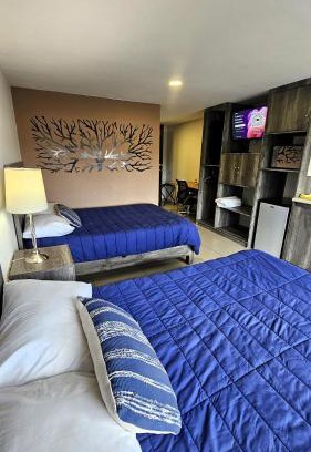 Ciudad López Mateos Apartamento | S07 DOBLE CAMA MATRIMONIAL Premium Suite Frente al TEC CEM con Cocineta WiFi Balcón Parking Terraza