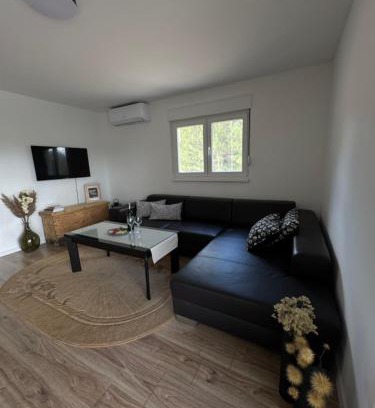 Canton 10 Casa | Sašina kuća