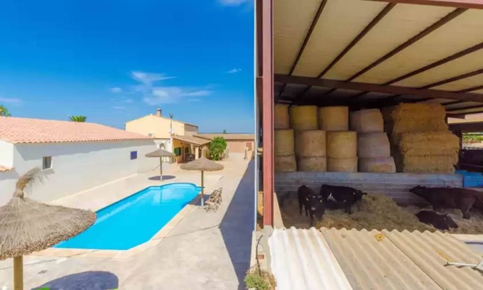Es Palmer Chalet De Esquí | Sa Caseta De Ses Vaques.son Covas - Casa De Campo