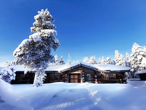Saariselka Chalet De Esquí | Saarikejo Huskylodge