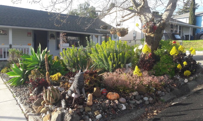 Benicia Casa | Safe, Cozy, Clean, Quiet, Home in Family-Friendly Residential Neighborhood.