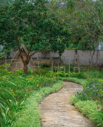 Moc Chau Casa | SAKURA House - Hoa Ban