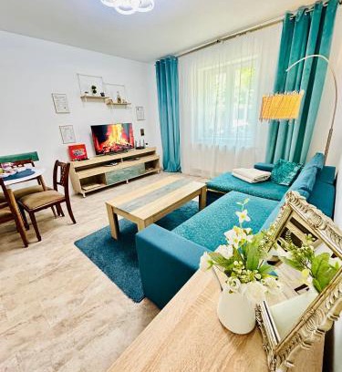 Timisoara Apartamento | Sal Apart