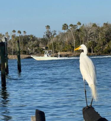Crystal River Casa | Saltys Retreat with a 50 Ft Dock at Crystal River