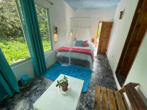 Samana Cama Y Desayuno | Salvaje Rooms&Restaurant