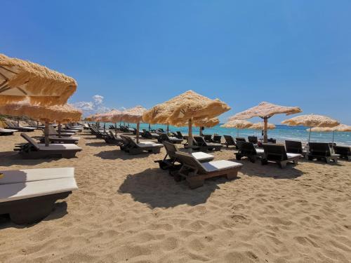 Padula Fede Cama Y Desayuno | Samanà B&B con Spiaggia Privata a Punta Prosciutto