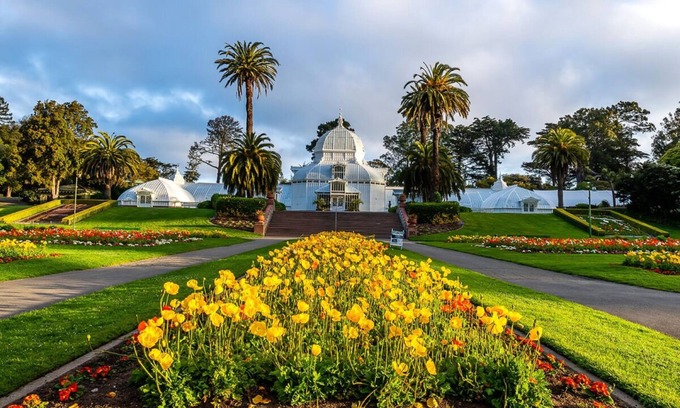 Theater District Hotel | San Francisco Elegance! Pets Allowed, Near San Francisco Botanical Garden!