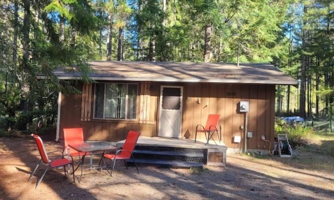 Hoodsport Cabina | San Gregorio - A Cozy & Dog Friendly Forest Retreat