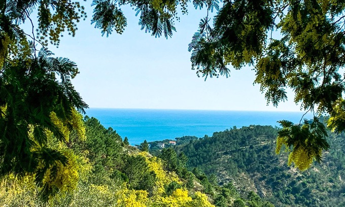 Noli Casa | Mi retirada hacia el mar