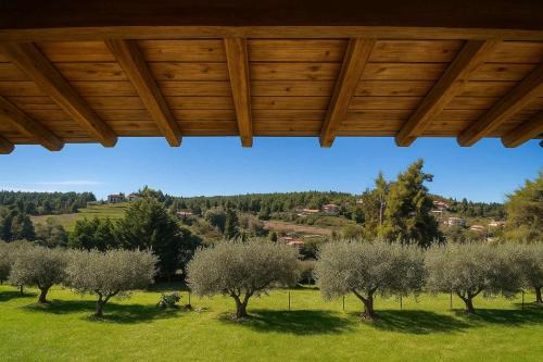 Sane Casa | Sani Olive Grove Gem - The Ultimate Sunny Getaway