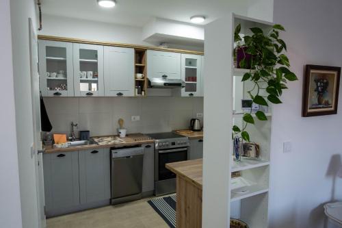 Pancevo Apartamento | Sanja