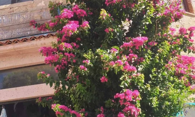 Ayvalik Casa | Sanli Butik Hotel
