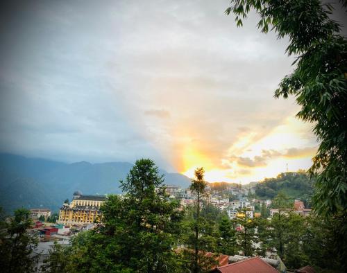 Sa Pa Cabina | Sapa Succulent Garden Homestay - Vườn Sen Đá Homestay