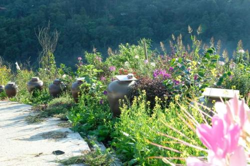 Sa Pa Chalet De Esquí | Sapawine Homestay