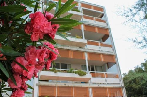 Marina di Pietrasanta Apartamento | SaporeDiMare - Full Comfort Quiet Apartment with Seaview Rooftop Pool