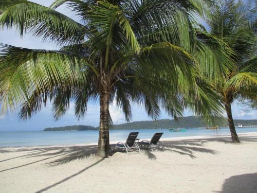 Koh Rong Sanloem Complejo | Saracen Bay Resort
