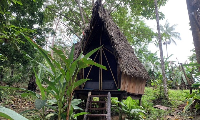 Puerto Narino Cabina | Satori