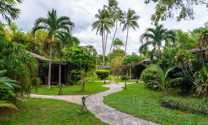 Lipa Noi Hotel | Satva Samui Yoga and Wellness Resort