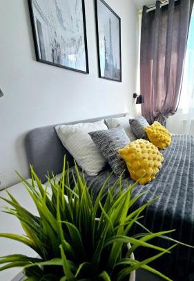 Anyksciai Apartamento | Saulė