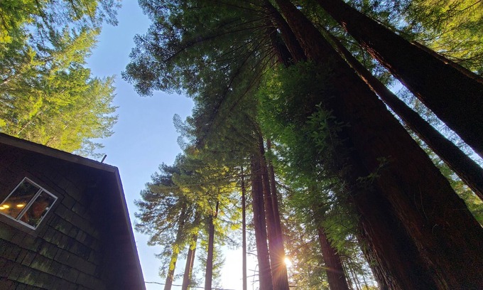 Fieldbrook Cabina | (Sauna*)Serene Redwood Retreat in Fieldbrook