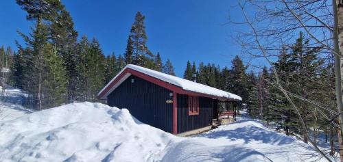 Lofsdalen Casa | Sauna | Wi-Fi | Terrace | Wood stove | Cable TV