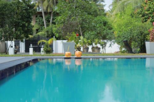 Habaraduwa Hotel | Sayu Garden Hotel