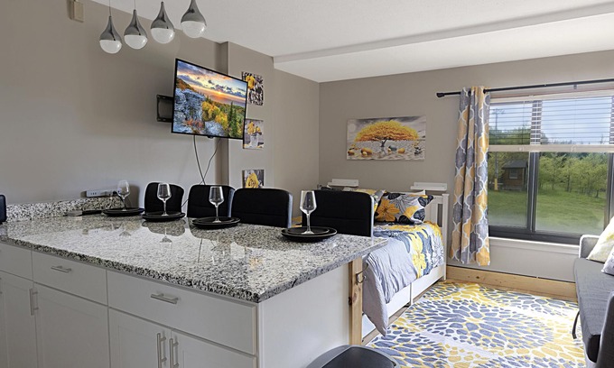 Snowshoe Condominio | SC 2204 Completely Renovated Studio, Bright Winter Escape!
