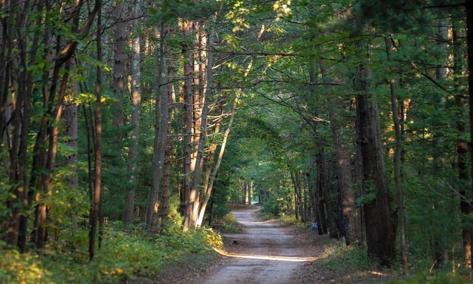 Muskegon Cabina | Scenic Drive Resort - Cabin #7