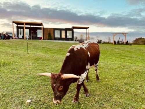 Pine Grove Apartamento | ‘Scenic Escapes’ Romantic Pine Grove Getaway!