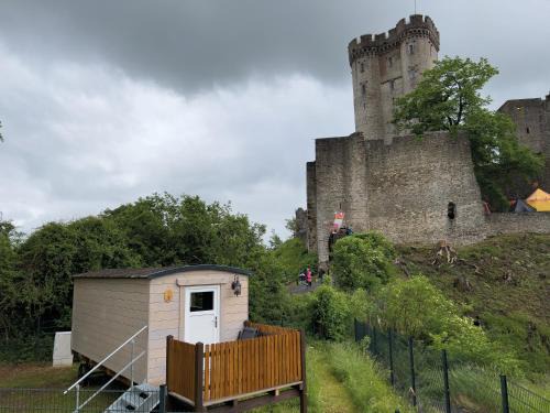Eifel Otro | Schäferkarrenpark Adler- und Wolfspark Kasselburg