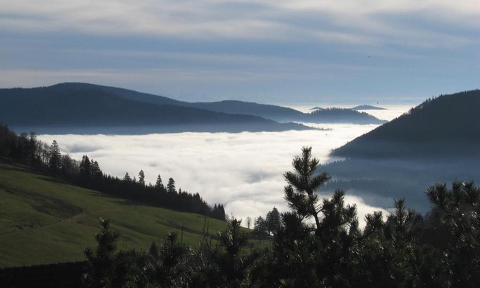 Todtnauberg Apartamento | Schöne Aussicht